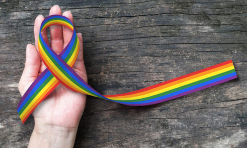Slovákom neprekážajú registrované partnerstvá pre homosexuálne páry, vyjadrilo sa tak 51 percent opýtaných