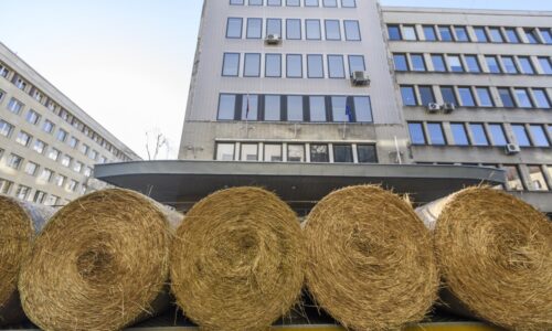 Finančné nástroje majú zmodernizovať slovenský agrosektor, no farmári o nich zatiaľ nič nevedia