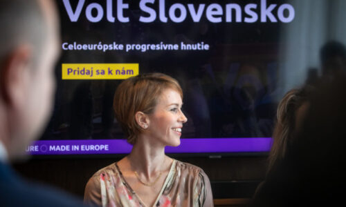 Strana Volt Slovensko kandiduje do europarlamentu aj s dvomi zástupcami rómskej menšiny na Slovensku