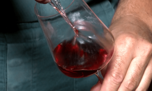 Jihomoravští vinaři hrozí stěhováním za hranice. Děsí je možné zdanění tichých vín