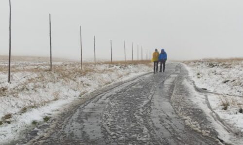 Mráz a sníh zasáhnou Česko od severu. Sledujte RADAR, místy napadnou desítky centimetrů