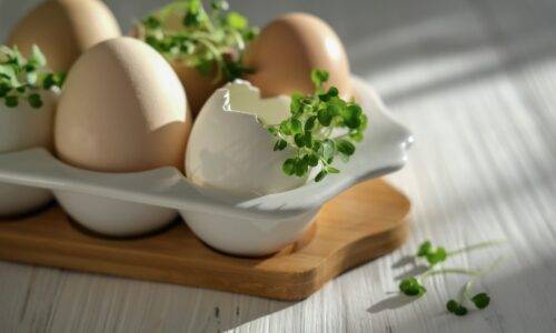 Nevyhadzujte obaly z vajec. Dajú sa z nich vyrobiť úžasné veci a ešte ušetríte