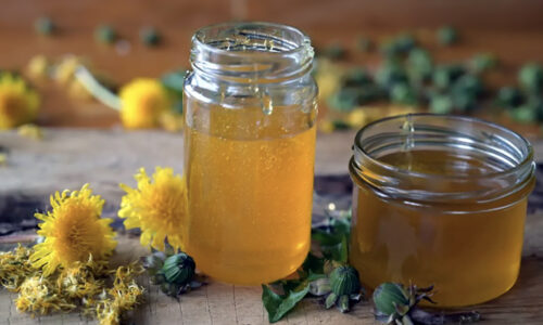 Domáci púpavový med: Tento recept ma naučila moja babička, je jednoduchý a takmer zadarmo!