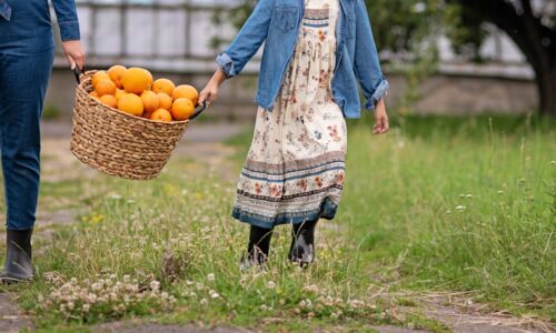 Tí lepší záhradkári vedia, na čo použiť šupky z pomaranču v záhrade