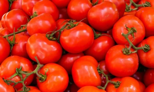 Trik, ktorý vám zdvojnásobí úrodu paradajok. Napadlo by vás to takto?