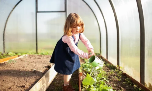 Akú zeleninu pestovať v skleníku? Základné pravidlá
