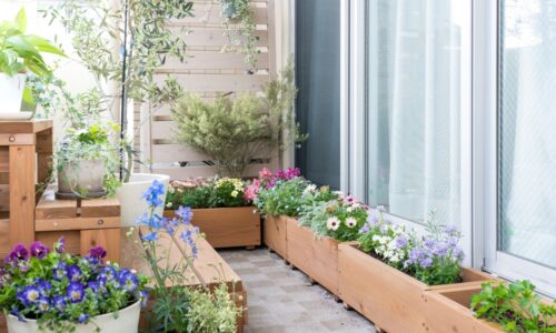 Ktoré kvety na váš balkón? Osem krásnych rastlín – sú odolné a neuveriteľne jednoduché na pestovanie