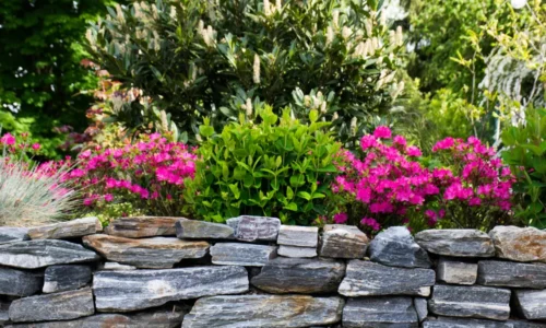 Skalka na záhrade – kam ju umiestniť a aké kvety vysadiť?