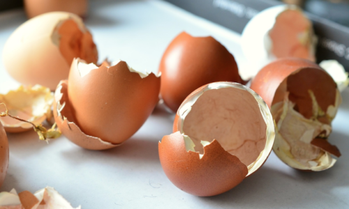 Vezmite si škrupiny z vajec a zmiešajte ich s hlinou. Vyriešite tak úporný problém a ušetríte veľa peňazí