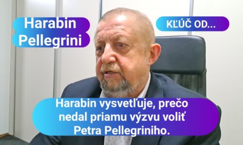 Prečo Harabin nedal výzvu voliť Pellegriniho?
