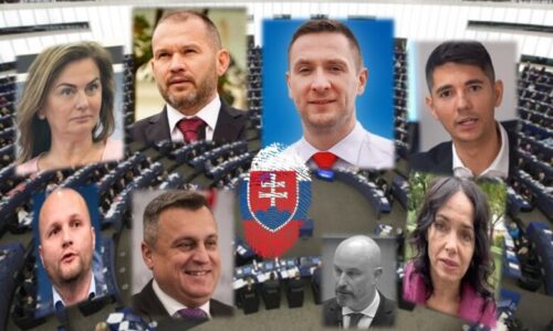 Typický slovenský kandidát v eurovoľbách: Muž, 44 rokov, poslanec Národnej rady