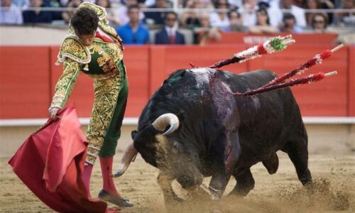 Španielske ministerstvo zruší cenu býčích zápasov, rozhodnutie vyvolalo kritiku