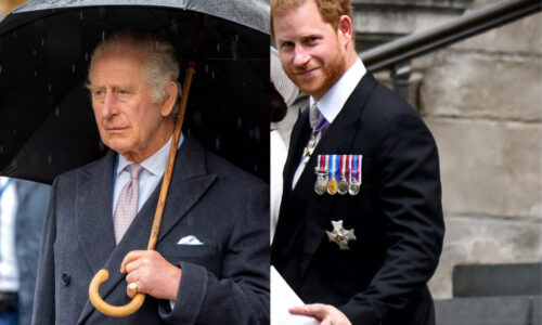 Princ Harry dal svojmu otcovi po nose? Medailu od kráľa nenosil. Odborníci hovoria: „Bude to vnímané ako neúctivé“