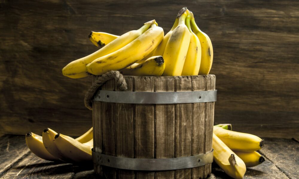 Urobte z banánov hnoj týmto štýlom. Rastliny a sadenice vám poďakujú