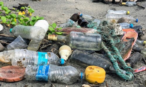 Po plastových slamkách chce EÚ zakázať ďalšie veci, ktoré nám zľahčujú život