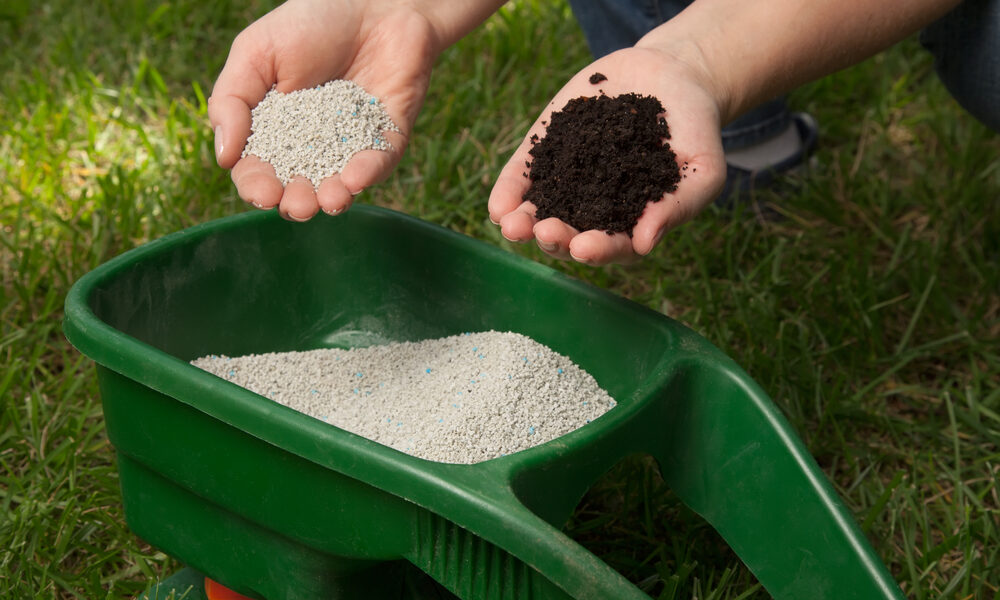 Ako často by ste mali hnojiť trávnik? Použite metódu z amerických záhrad