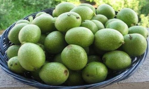 Zelené orechy sú doslova veľký poklad pre naše zdravie: Už naše babičky vedeli, čo všetko úžasne s naším telom dokážu!
