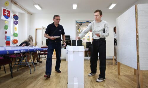 Víťazom eurovolieb sa v Žiline stalo Progresívne Slovensko, získalo tretinu hlasov