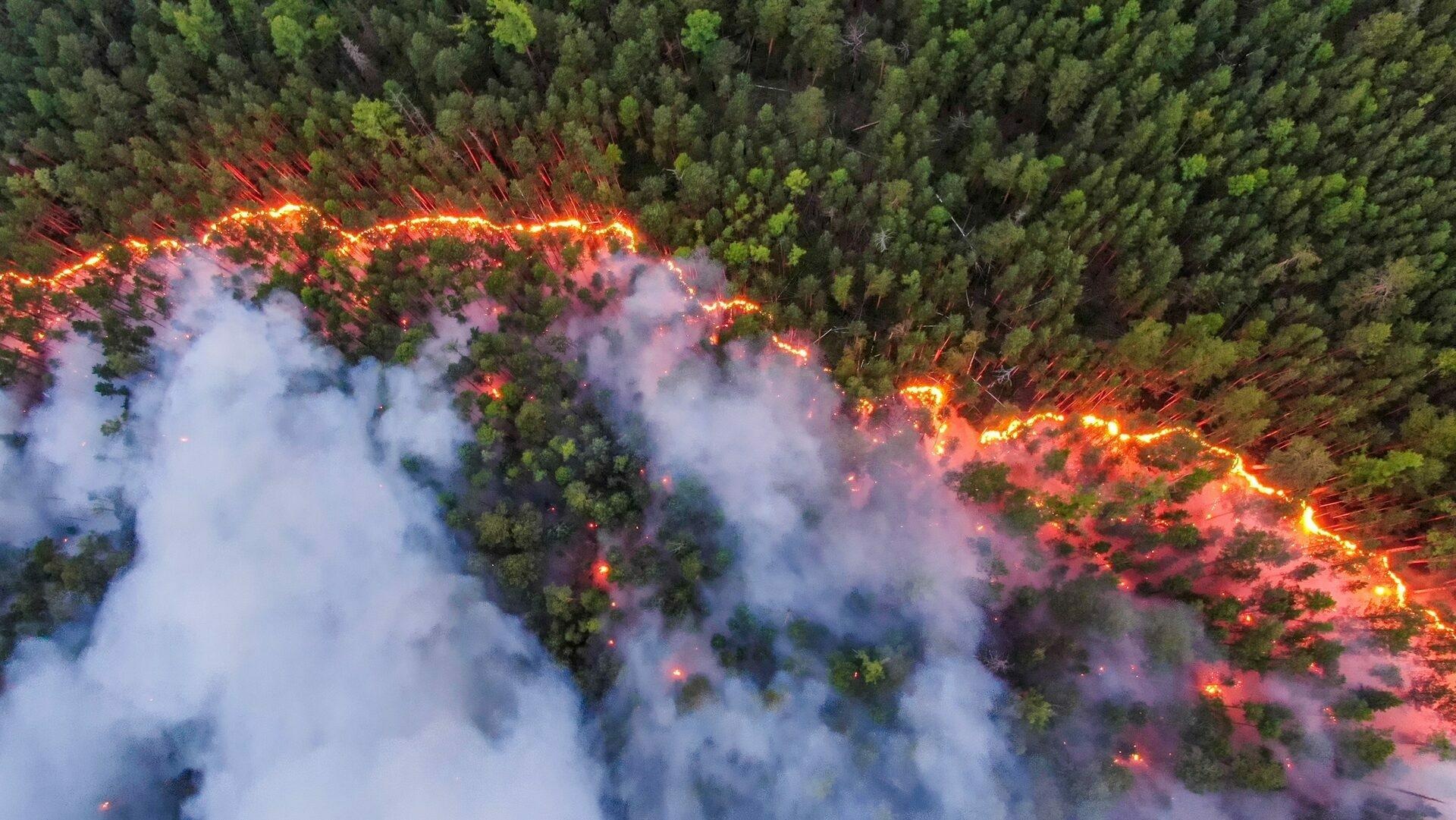 Na Sibíri sú rozsiahle požiare, dym vidno aj z vesmíru. Horia státisíce hektárov