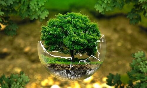 Svetový deň životného prostredia

Dnes dňa 5. júna si svet pripomína Svetový deň životného prostredia, ktorého zmyslom je rozšíriť všeobecné povedomie o eko…