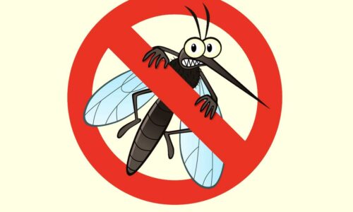 Všade len samý pokrok! Bioboj s kalamitou komárov. Progresívny.
DEVÄŤ Z DESIATICH KOMÁROV BY VOLILO TEAM VALLO
 Pijú nám krv, lezú na nervy. Nehovorím o pol…