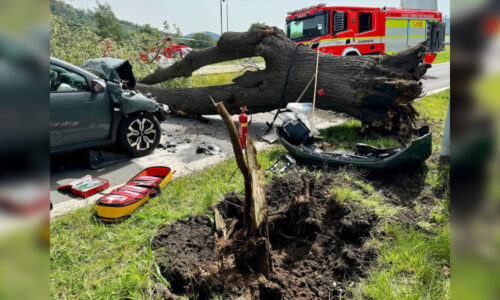 Tři zranění, seniora museli oživovat. Na osobní auto na Bruntálsku vinou větru spadl strom