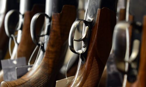 Prodejci zbraní mají hlásit podezřelé obchody. Poslanci reagovali na střelce z fakulty