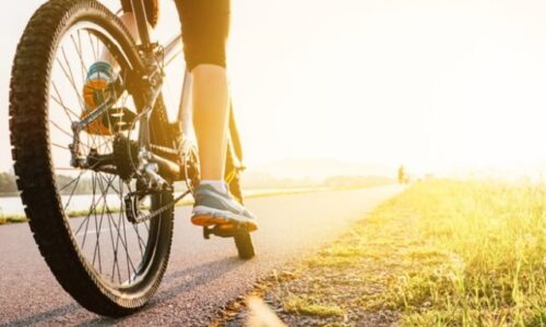 Trnavskú automobilku Stellantis spojí so Zavarom cyklotrasa, výstavba by mohla začať už v lete