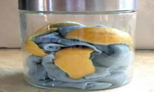 Vašu prachovku vložte spolu s citrónovou kôrou do sklenenej nádoby. To čo sa začne diať, ste ešte nevideli