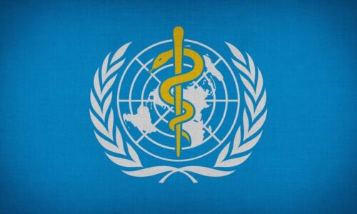 Ředitel WHO:  Je čas na agresivní postup proti „antivaxerům“