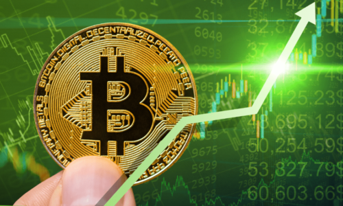 Pozitívne správy pre Bitcoin, zatiaľ čo tieto top mince dominujú v portfóliách investorov
