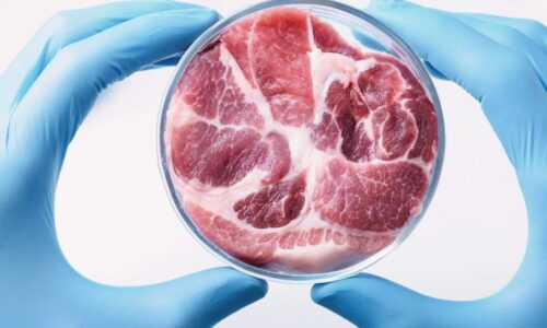 Laboratorní maso je špatné pro naše zdraví, může být použito jako zbraň a je nástrojem k likvidaci zemědělců