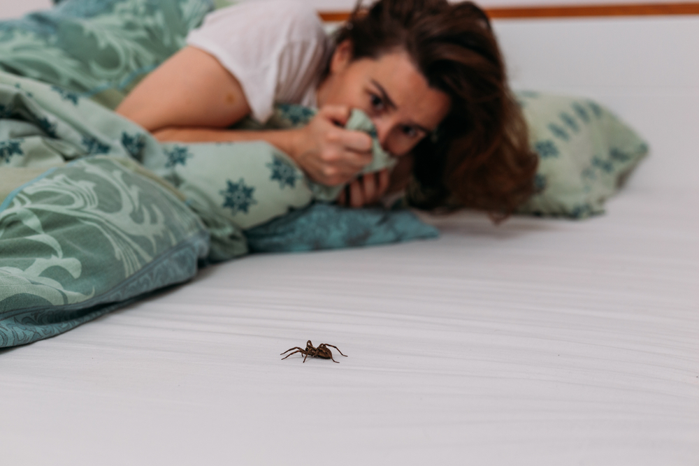 Vkrádajú sa do vášho domova pavúky? Existuje spôsob, ako ich obísť. Toto je to, čoho sa boja ako ohňa