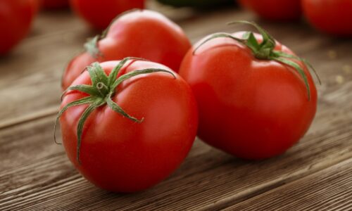 Recept na šťavnaté červené paradajky. Do vody nasypte niekoľko zrniečok. Váš sused vám bude závidieť