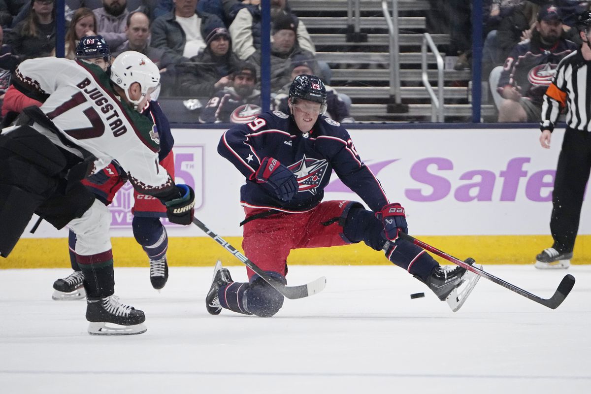 Fínsku hviezdu prepustili z asistenčného programu. Môže sa vrátiť do NHL