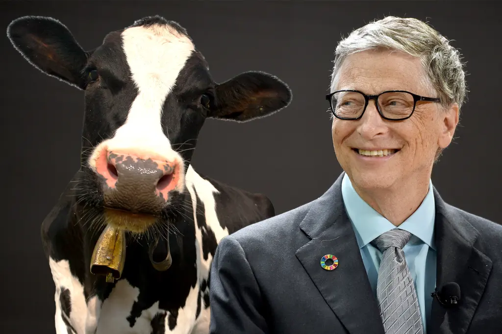 Bill Gates predstavil „červie mlieko“, ktoré má nahradiť kravské mlieko