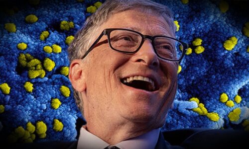 Nadace Gatesových spolufinancovala výzkumy, které upravovaly ptačí virus