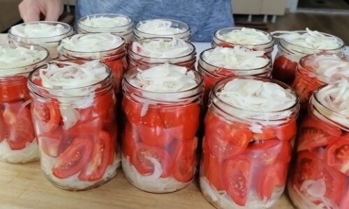 Fínske nakladané paradajky s cibuľou: Na tejto dobrote dokážem fičať kľudne aj celý rok!