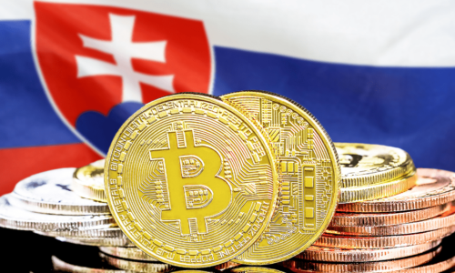 Slováci považujú kryptomeny za budúcnosť online platieb a dobrú dlhodobú investíciu