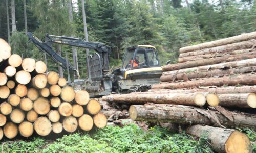 Európske krajiny budú užšie spolupracovať pri ochrane lesov, nové centrum bude riešiť prírodné katastrofy