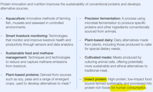 Nová zpráva WEF opět nabádá ke změně jídelníčku směrem k veganství či konzumaci umělého masa a hmyzu