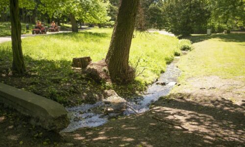 Kaštieľsky park v Stupave sa čoskoro dočká komplexnej revitalizácie. Bratislavská župa plánuje práce začať na jeseň.