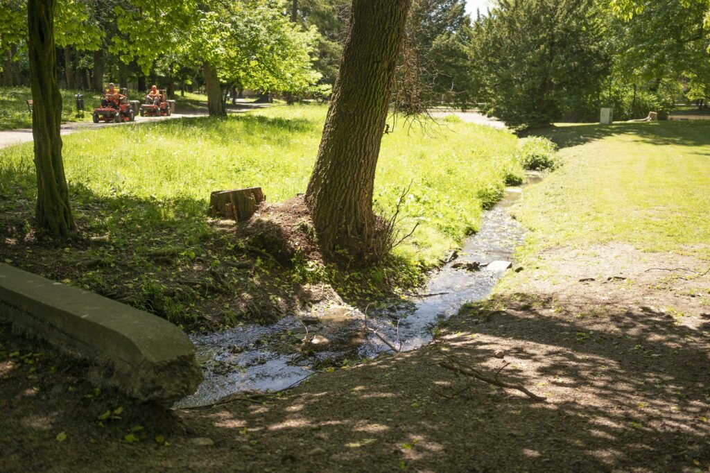 Kaštieľsky park v Stupave sa čoskoro dočká komplexnej revitalizácie. Bratislavská župa plánuje práce začať na jeseň.