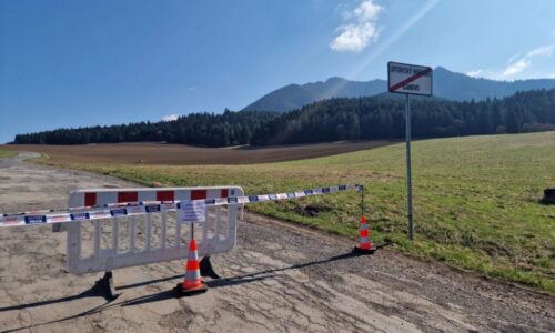 Medveďa, ktorý útočil v Liptovskom Mikuláši, našli s pomocou dronov za menej ako dve hodiny