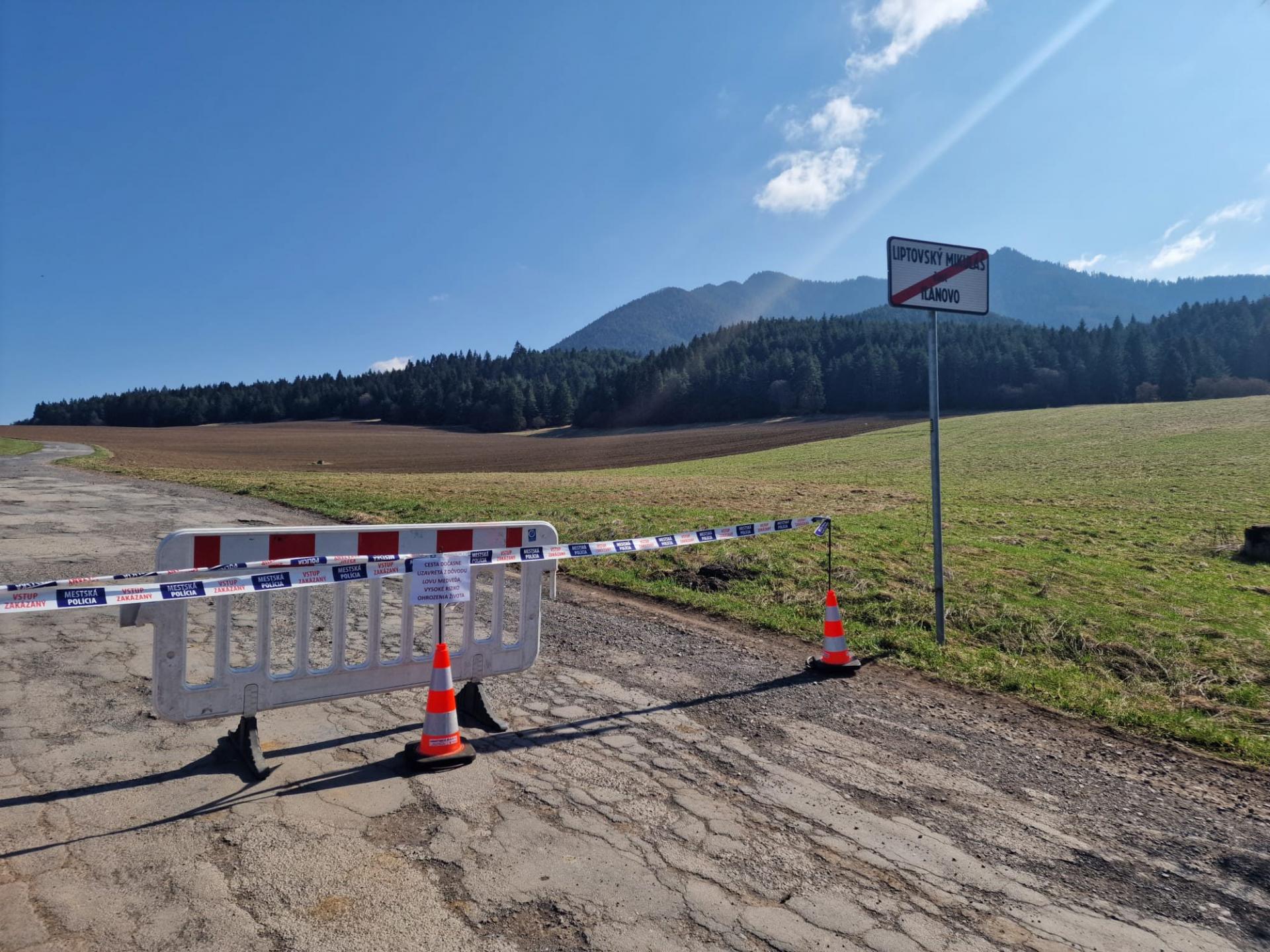 Medveďa, ktorý útočil v Liptovskom Mikuláši, našli s pomocou dronov za menej ako dve hodiny