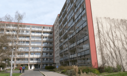 Policie šetří záhadné úmrtí 90leté seniorky. Podezřelý z vraždy je o čtyři roky starší muž
