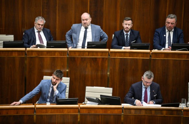 20710 65c4b05dae766494725685 640x420.jpg Návrh SNS o neziskovkách je paškvil. Mimovládky žiadajú parlament, aby neopakoval Orbánove chyby