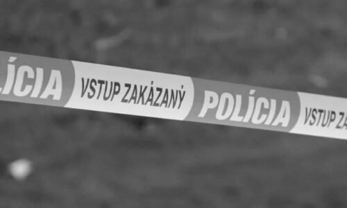 Celá Nitra mi ubližuje, povedal vodič po zrazení 77-ročnej cyklistky. Žena zraneniam podľahla
