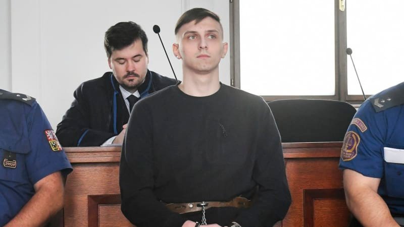 Padl trest za znásilnění a pokus o vraždu v Plzni. Mladého Ukrajince čeká 19 let vězení