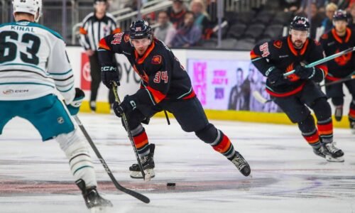 Slováci v AHL To bola prihrávka! Marián Studenič prerušil bodové mlčanie výborným spôsobom